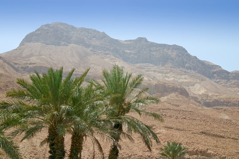 Desert landscape, biblical scene